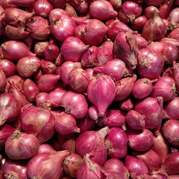

Dijamin Ori>/ Bawang merah brebes besar2