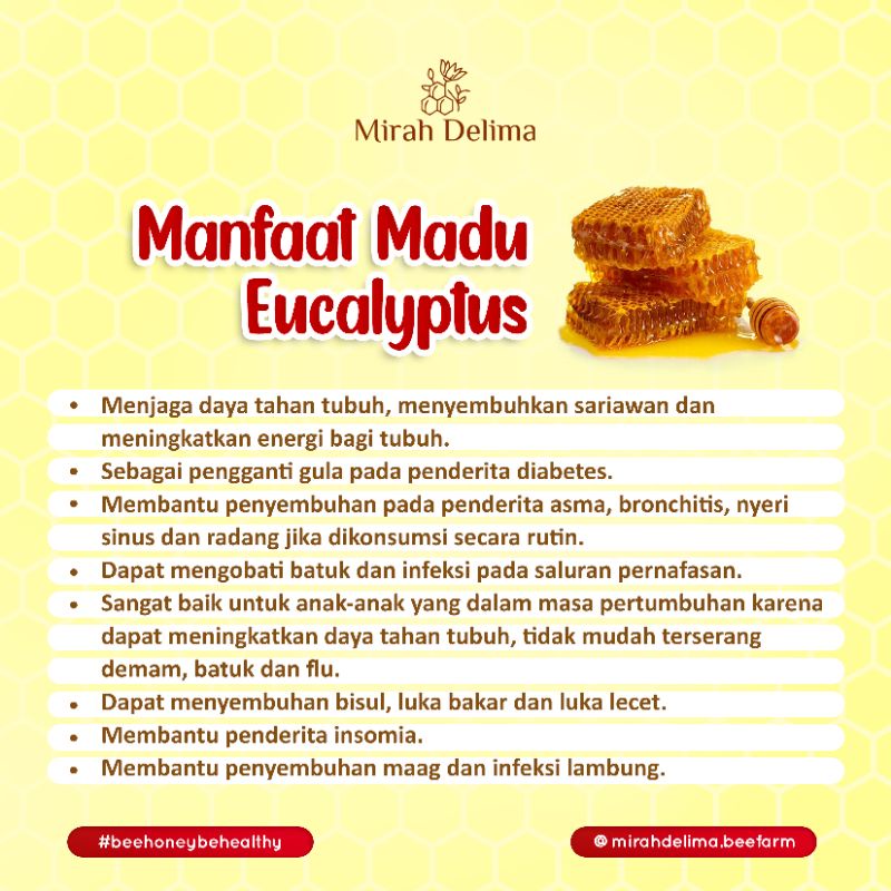 

Korzaln Madu Hutan Eucalyptus - Raw Rainforest Honey - 250 Ml