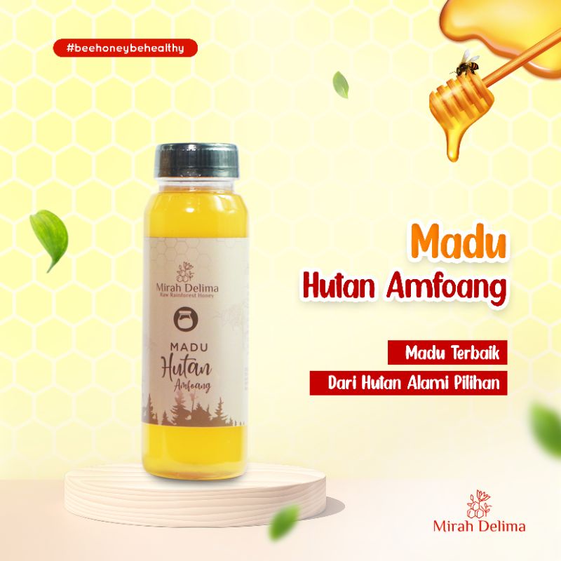 

Madu Hutan Amfoang - Raw Rainforest Honey - 250 ml