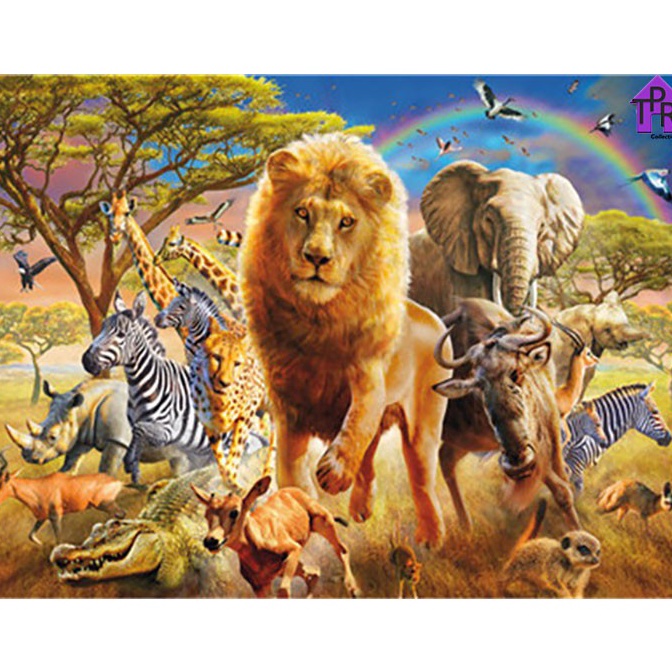 

Stok banyak DIY - Set Melukis / paint by number kit - ANIMAL 40x50cm. part-8 ISH