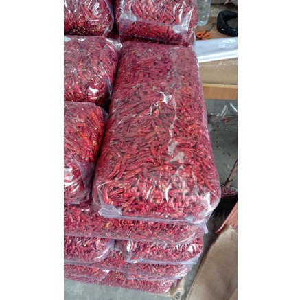 

Dijamin Miring harga Cabe Rawit Japlak Teja 5 Kg KFK