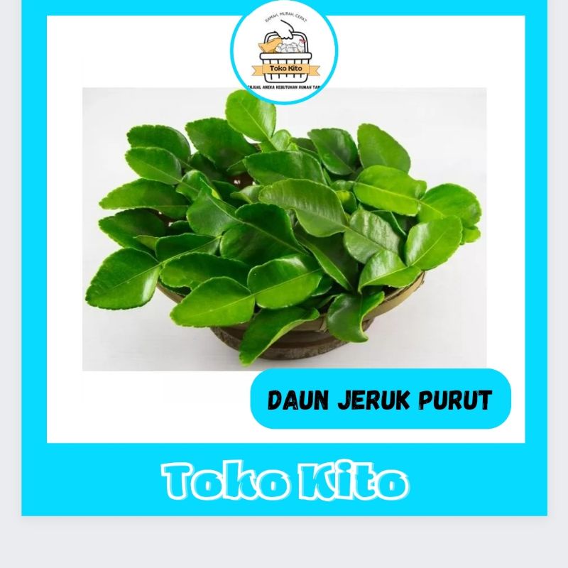 

DAUN JERUK / DAUN JERUK PURUT SEGAR