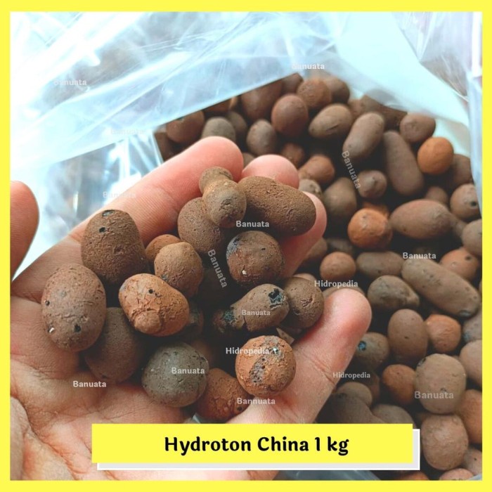 PROMO TERBAIK HYDROTON HIDROTON IMPORT CINA MEDIA TANAM 1 KG BERKUALITAS TERBARU