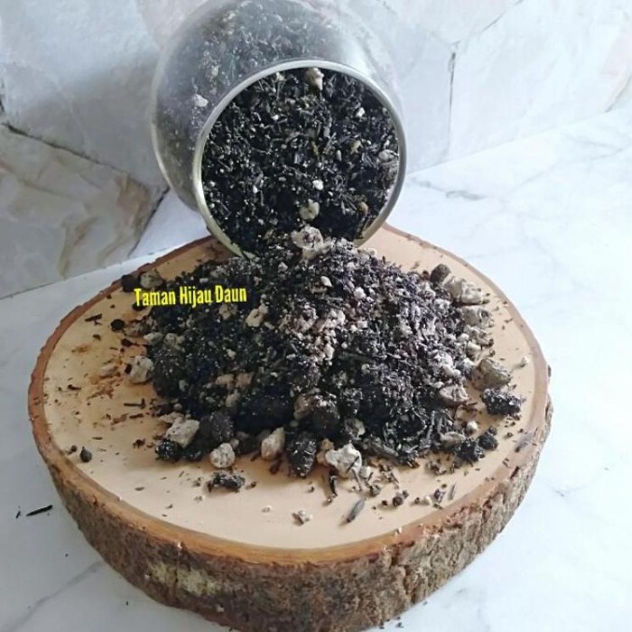 DISKON SPESIAL TERBAIK [LANGSUNG DARI PABRIK] MEDIA TANAM CAUDEX STEPHANIA VENOSA TERLARIS