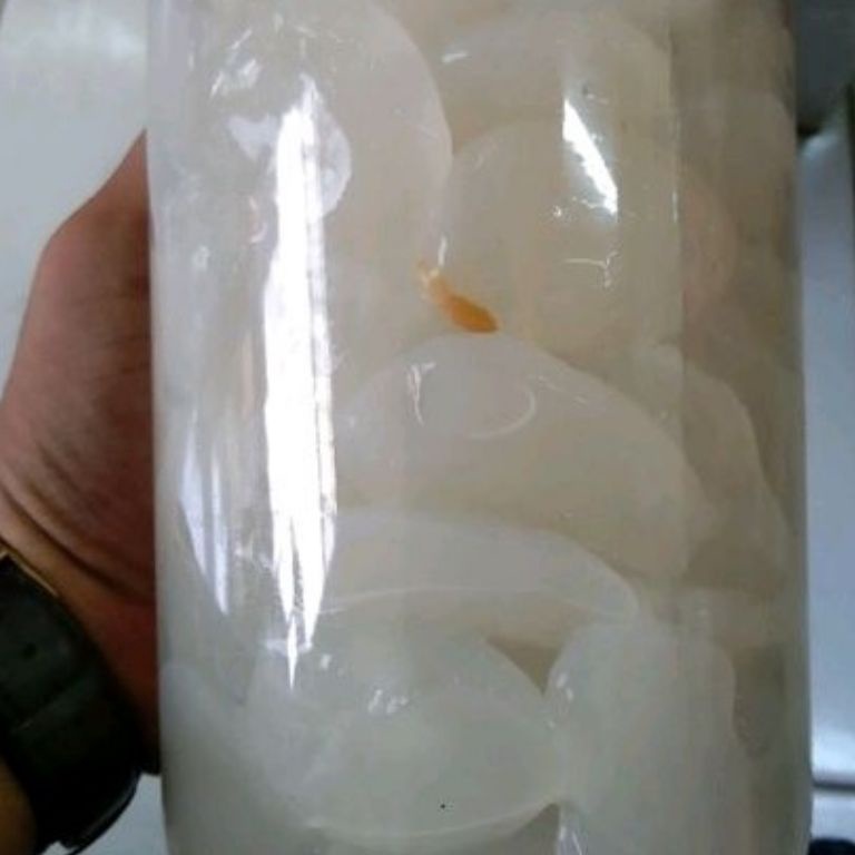 

New Recommended Kolang Kaling Medan Mentah 1kg