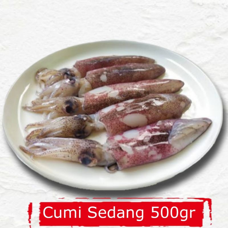 

Cumi Loligo Sedang 500 Gram
