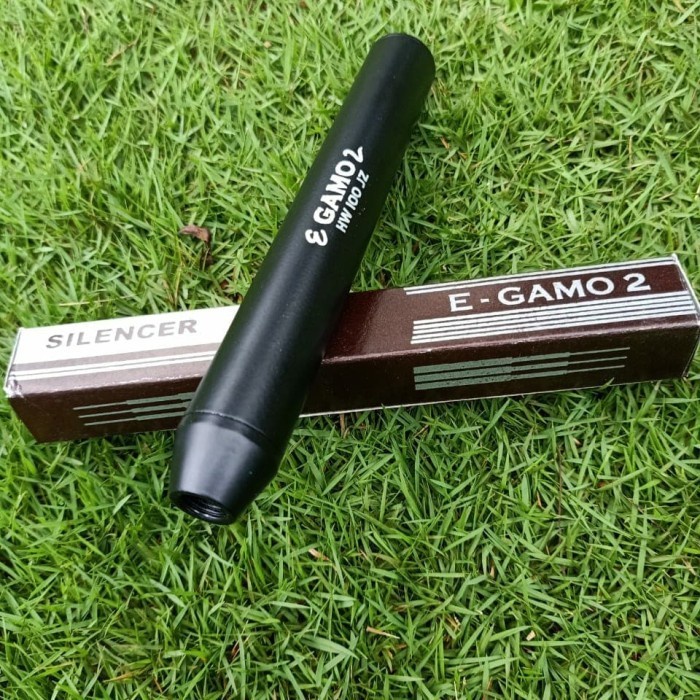 Open DS] Peredam E Gamo HW 100 JZ OD 25