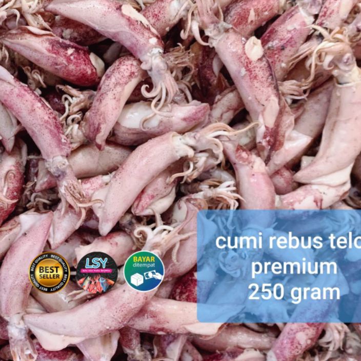 

️✔️✔️ ikan asin cumi rebus telor premium 250gram murah