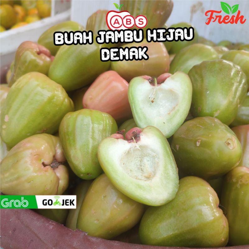 

Buah jambu air hijau Demak 1KG manis | Buah jambu hijau Demak asli manis | jambu air | Jambu demak