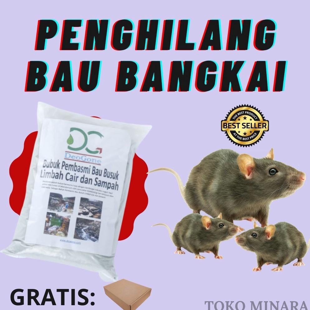 TOP SALE PENGHILANG BAU BANGKAI TIKUS BAU SUMUR BANGKAI LOTENG TEMPAT SAMPAH SUMUR BAU BANGKAI TOKO 