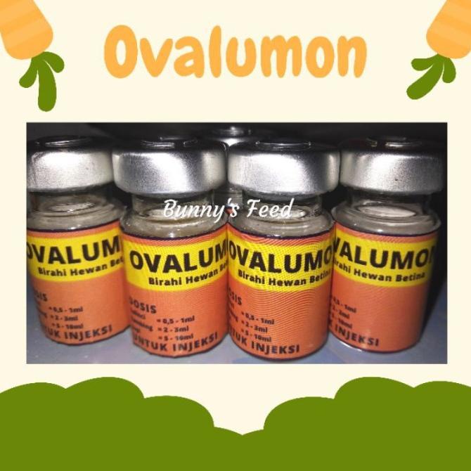OVALUMON 5 ML - OBAT BIRAHI HEWAN BETINA KELINCI KUCING KAMBING SAPI