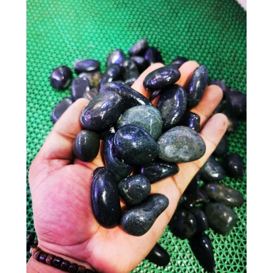 ➟ BATU KORAL HITAM 1 KARUNG BATU TERAPI KAKI DEKORASI TAMAN AQUARIUM AQUASCAPE t Terbaru ✫.