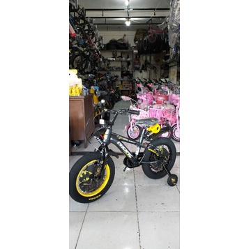 sepeda 16 inch pacific 3.0