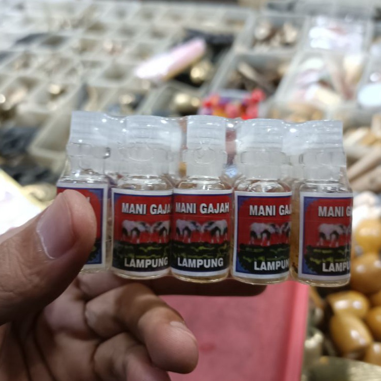 ★★ ZQJ MINYAK MANI GAJAH LAMPUNG ISI 20PCS ☆ (Serba Murah)