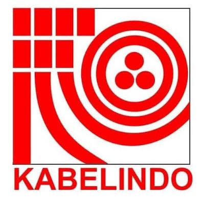 Harga Spesial Gby 4X185 Mm Kabelindo/ Nyfgby 4 X 185 Mm/ Kabel Tanah/ Kabel Tanam