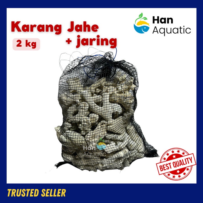 Batu Karang Jahe Premium Media Filter Aquarium 2 kg dengan Jaring