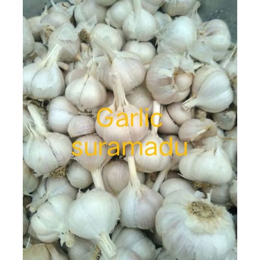 

WRQY6832 (C6369] bawang putih kating bersih 1kg