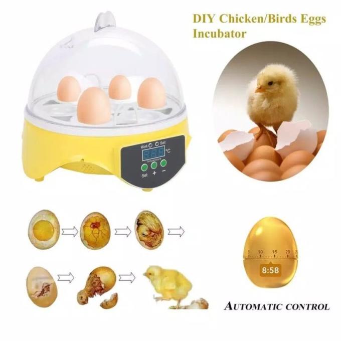 Inkubator mini Mesin Penetas Telur burung ayam merak punyuh unggas