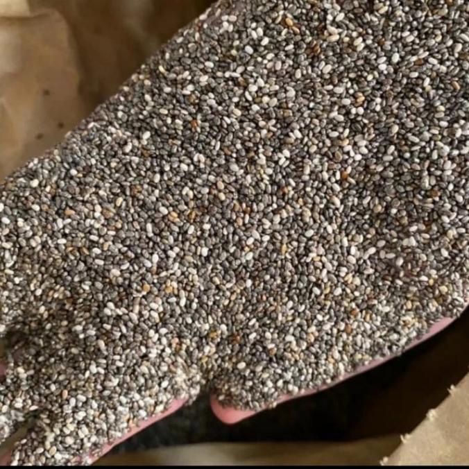 

:>:>:>:>] Chia seeds Organik / premium qulity chia seed 500 Gram
