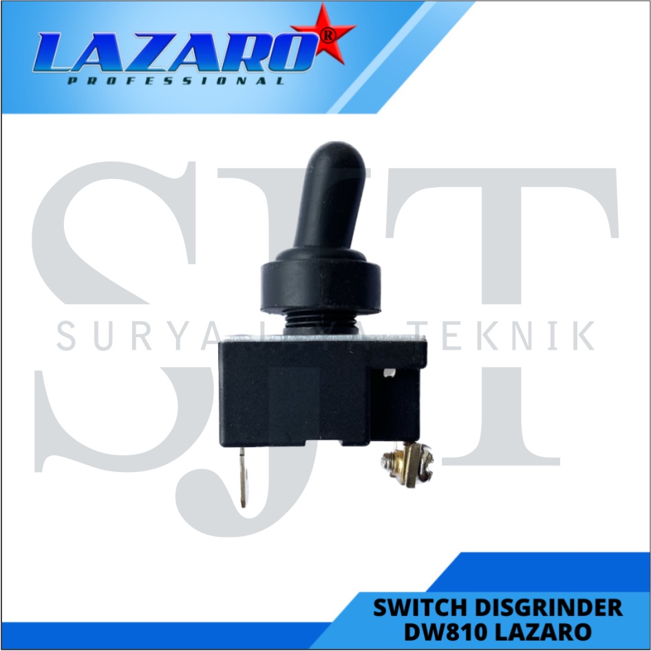 Switch Disgrinder DW810 LAZARO