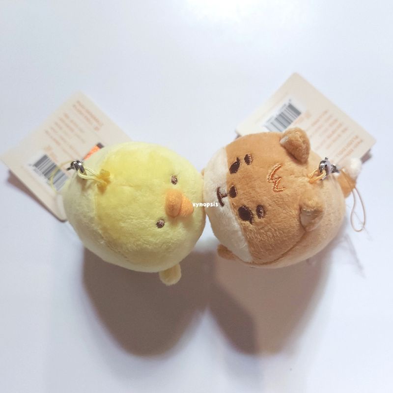 DAY6 PETIT DENIMALZ KE & JJE