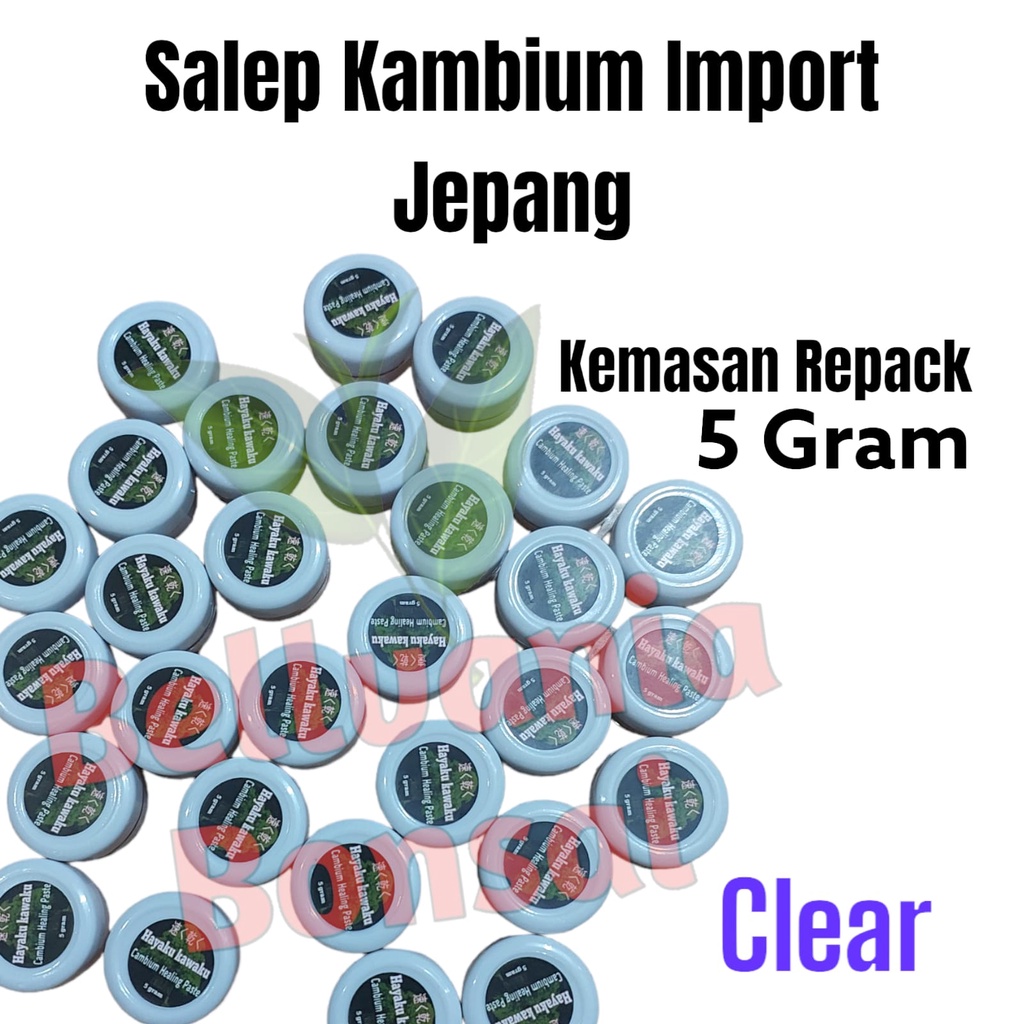 Salep Kambium Import Jepang Hayaku Masaku Kemasan Repack 5 Gram