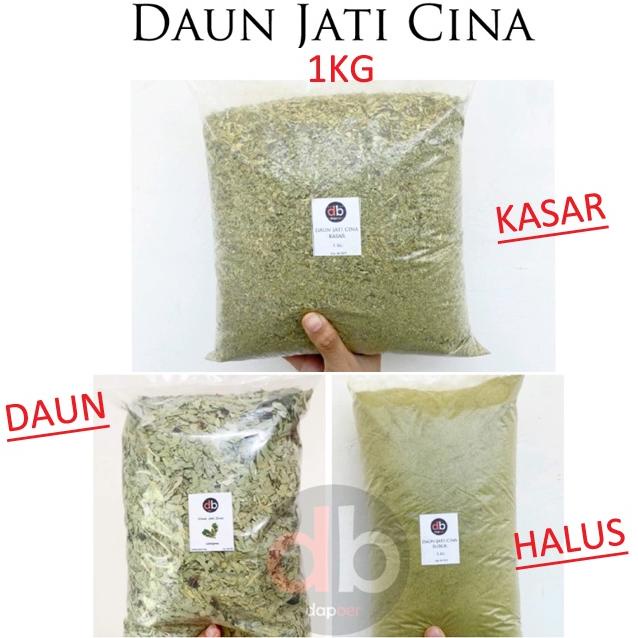 

Stok terbaru Daun Jati Cina 1kg