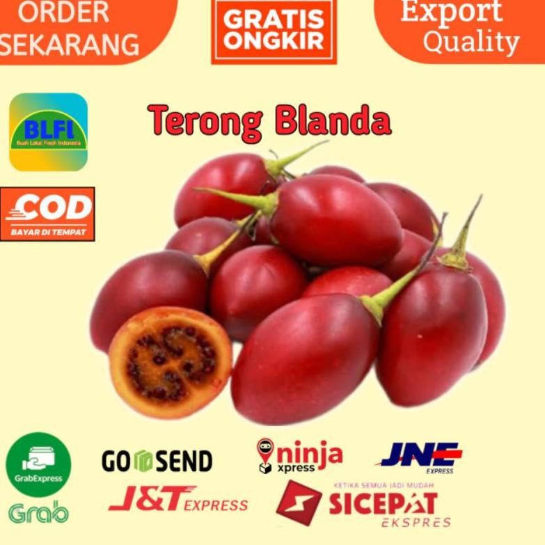 

>V44859) BUAH TERONG BELANDA BUAH ASAM KAYA VITAMIN C