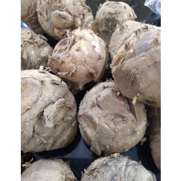 

『Perdana』 BIANG KUNYIT SEGAR 1KG