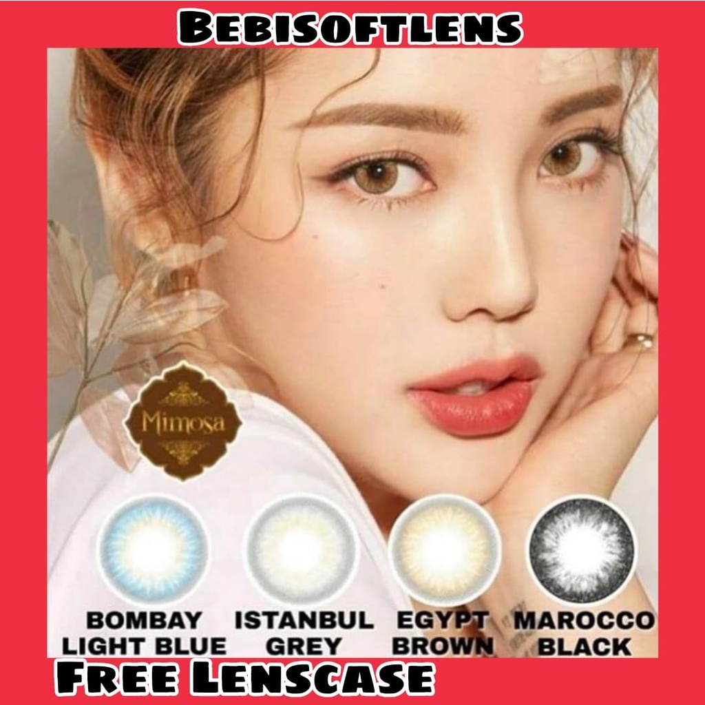 Softlens MIMOSA FLAT DIA 14.50mm MINUS Brown Grey Black Brown ( -3.25 s/d -6.50) / Softlens Lensa Kontak