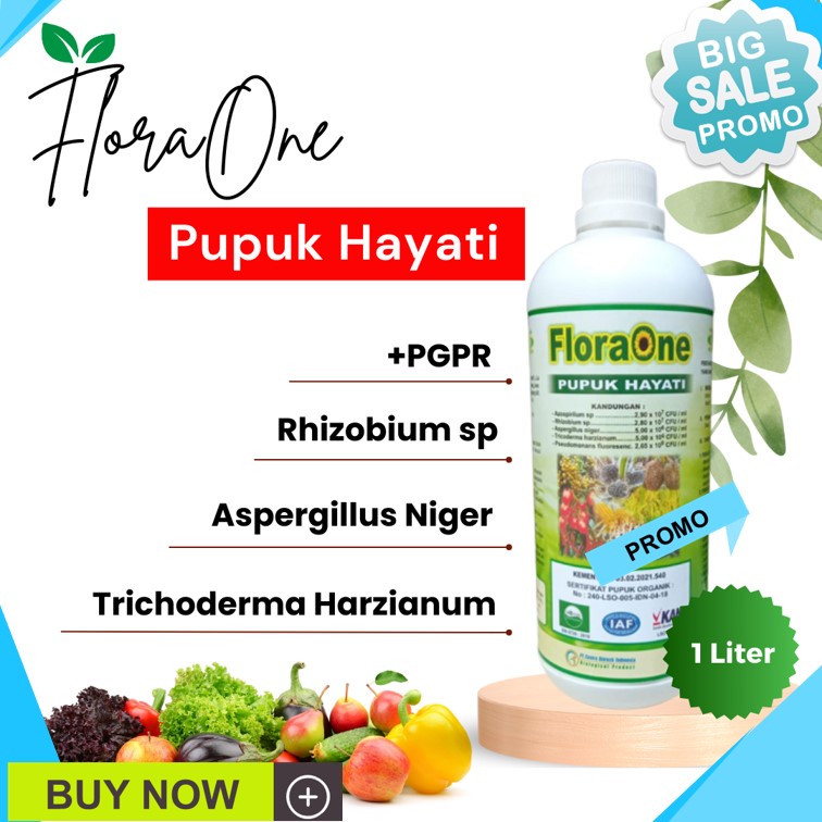 PGPR Pupuk Pertumbuhan Tanaman, Pupuk Untuk Meningkatkan Sistem Perakaran, Obat Anti Penyakit