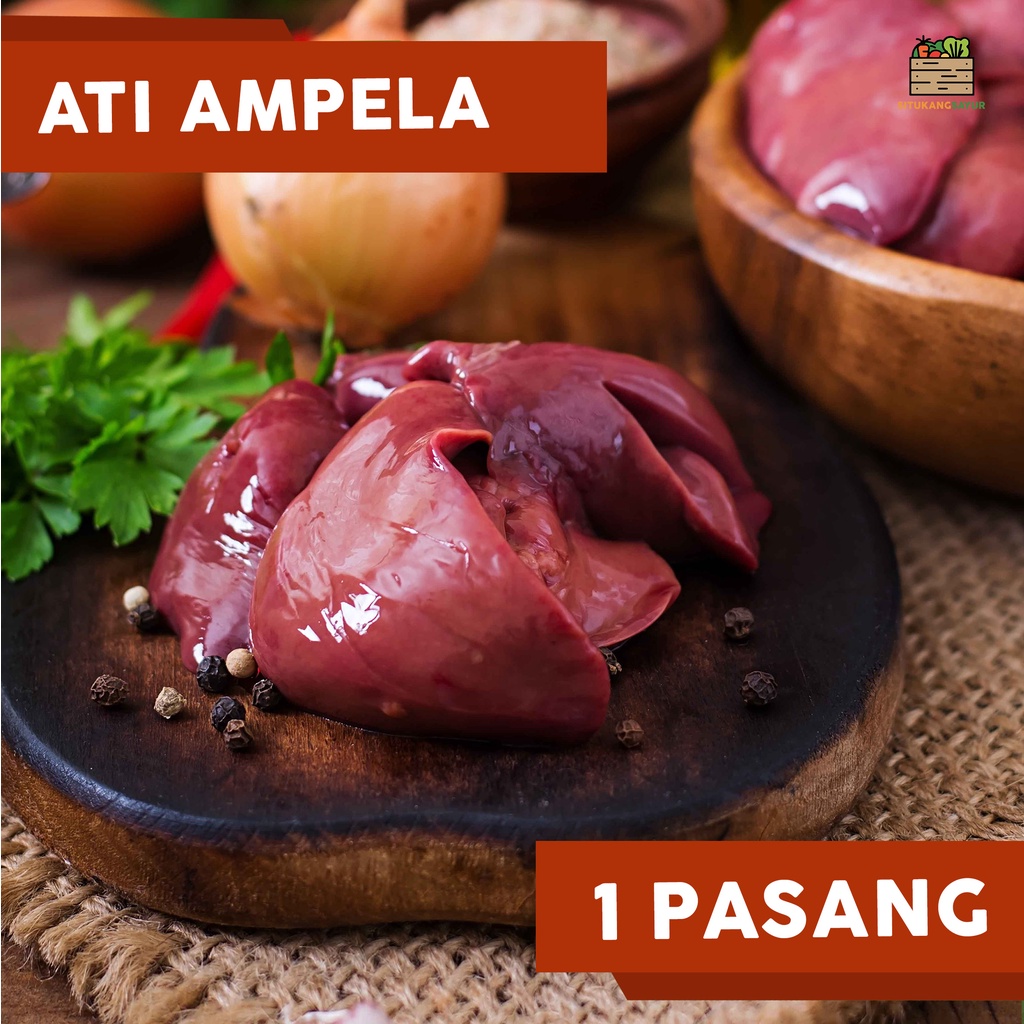 

Ati Ampela | 1 buah (Kota Bandung & Sekitar)
