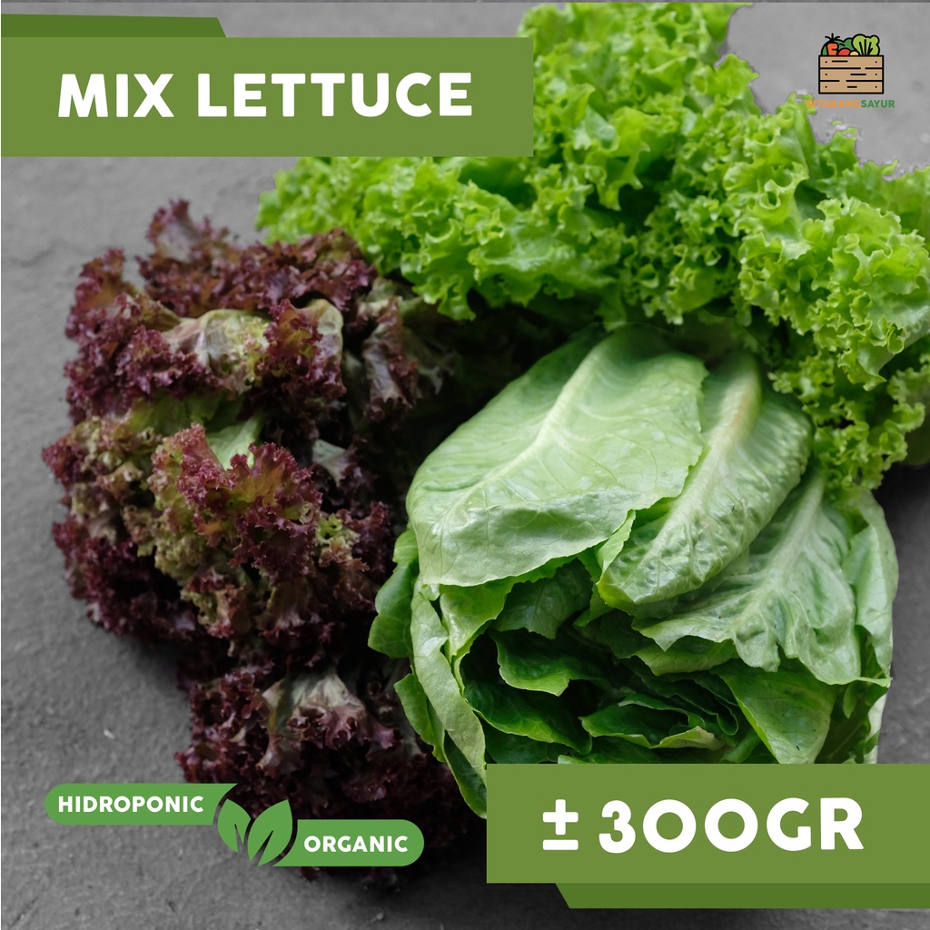 

Mix Lettuce Organik (Kota Bandung & Sekitar)
