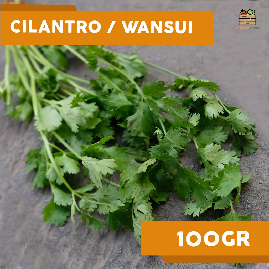 

Cilantro / Daun Ketumbar / Wansui | 100gr (Kota Bandung & Sekitar)