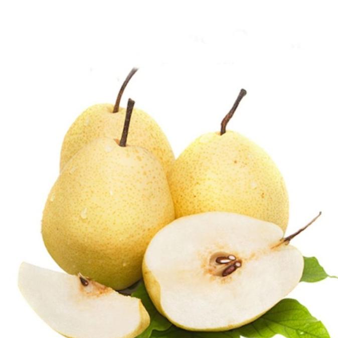 

PEAR MADU - SWEET PEAR TERMURAH - PIR MADU ram04