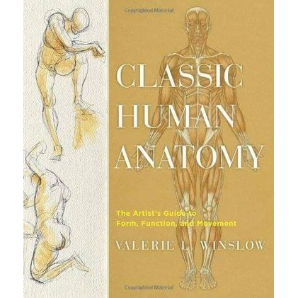 Terlaris Classic Human Anatomy For Artist - Winslow
