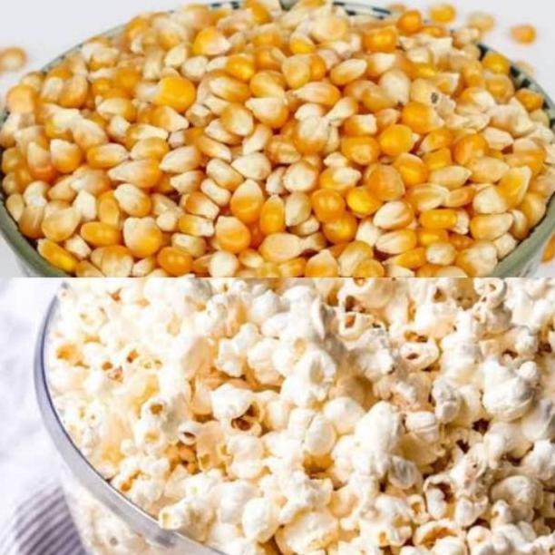 

TERBARU BIJI JAGUNG POPCORN MENTAH POP CORN BIJI JAGUNG KERING