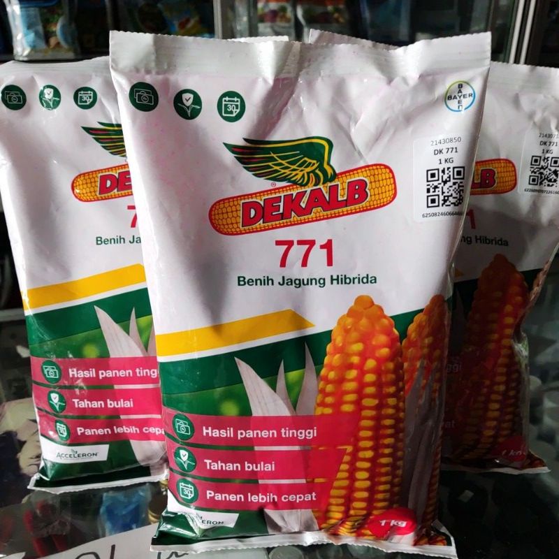 Benih Jagung Hibrida DEKALB 771 1kg Bibit dari BAYER