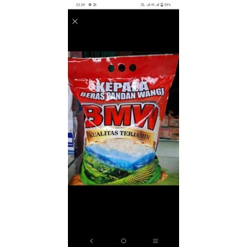 

beras bmw 5 lietr