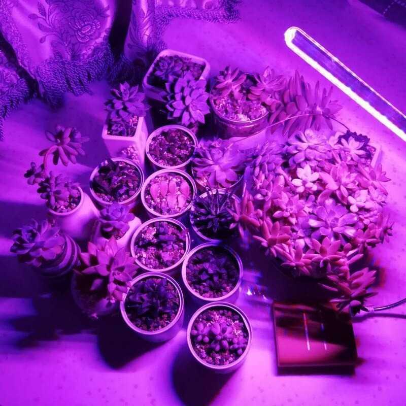 FENGLAIYI Lampu Cahaya Tanaman Grow Light LED Full Color Spectrum 10W FE02 Lampu Kamar Gaming Lampu Kamar Gaming Lampu Lid Lampu Lid Lampu Taman Lampu Outdoor Lampu Taman Lampu Outdoor Lampu Taman Tancap Lampu Taman Tancap Tanamu Tanamu Lampu Kamar Remot