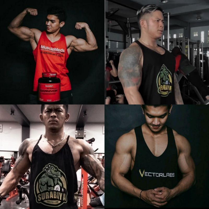 Vectorlabs Master Mass 12 lbs Susu Weight Gainer 12lbs Penambah Berat Badan BB Vector Labs non bxn whey protein