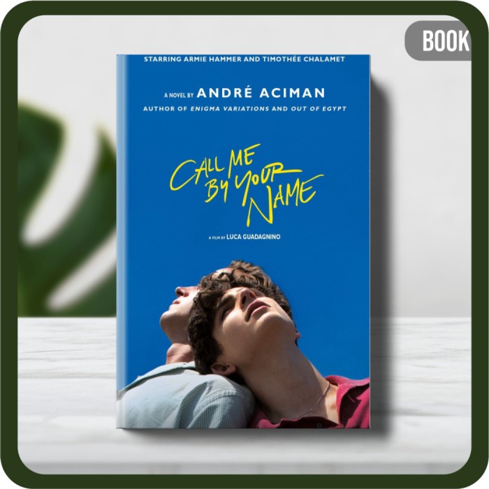 

Buku - Aciman André Call Me by Your Name