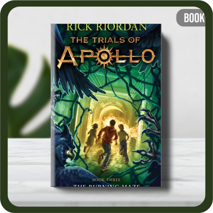 

Buku - The Trials of Apollo Book Three The Burning Maze