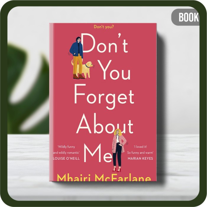 

Buku - Mhairi McFarlane Don’t You Forget About Me