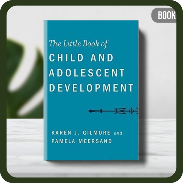 

Buku - Pamela Meersand The Little Book of Child and Adolescent