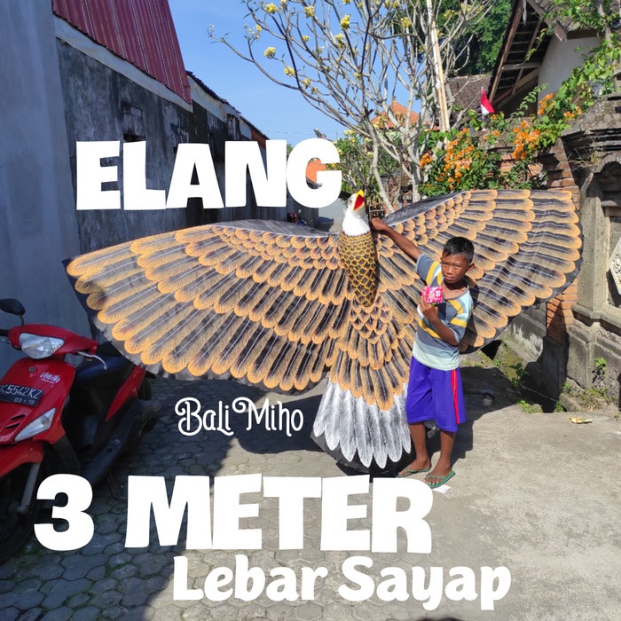 LAYANGAN BURUNG ELANG/LAYANGAN BURUNG JUMBO/LAYANG LAYANG