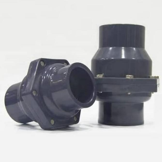 Swing Check Valve Pvc 2" Inch