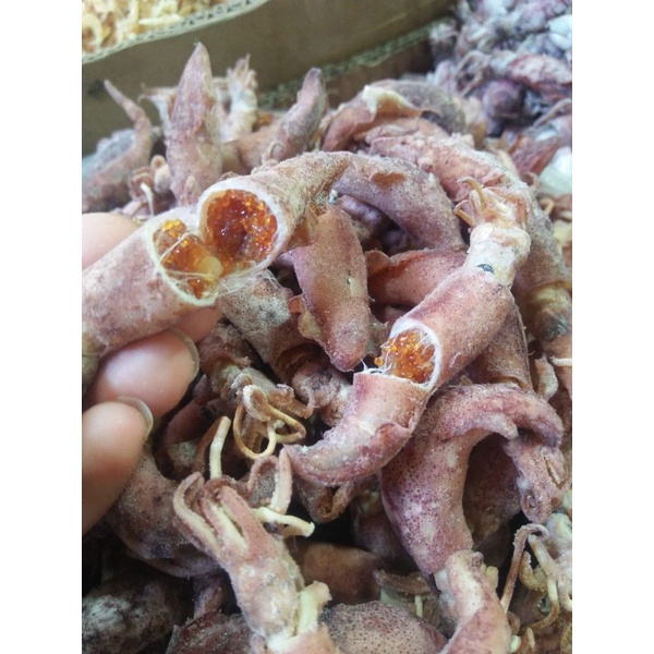 

ikan asin cumi kering open ikan asin cumi open ikan asin cumi kualitas super berkualitas harga murah 1kg