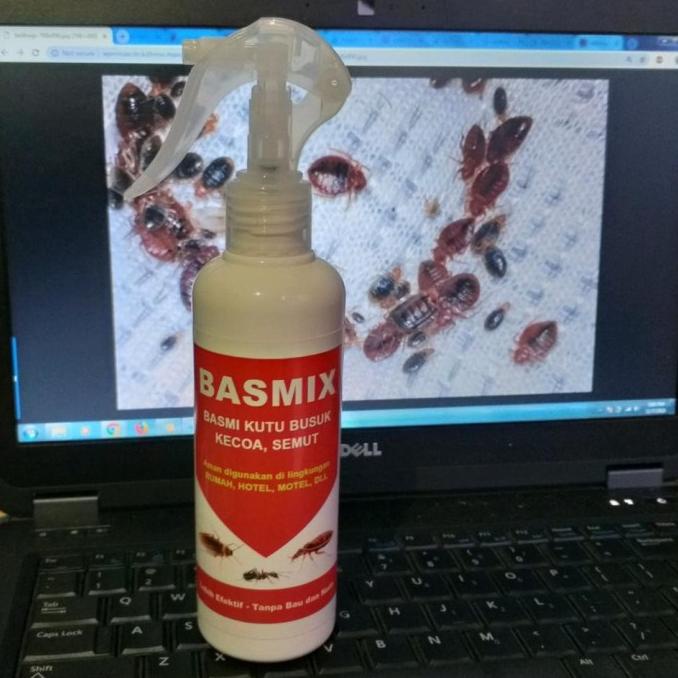 Obat Racun Pembasmi Kutu Busuk Tumila Tinggi Kepinding Bangsat Kupret