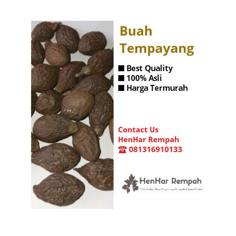 

Promo Buah Tempayang / Buah kembang semangkok / Beng ta hai 500 gram